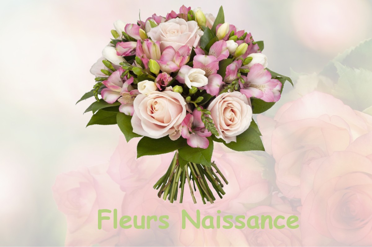 fleurs naissance OUTARVILLE