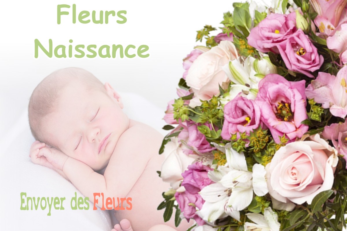 lIVRAISON FLEURS NAISSANCE à OUTARVILLE